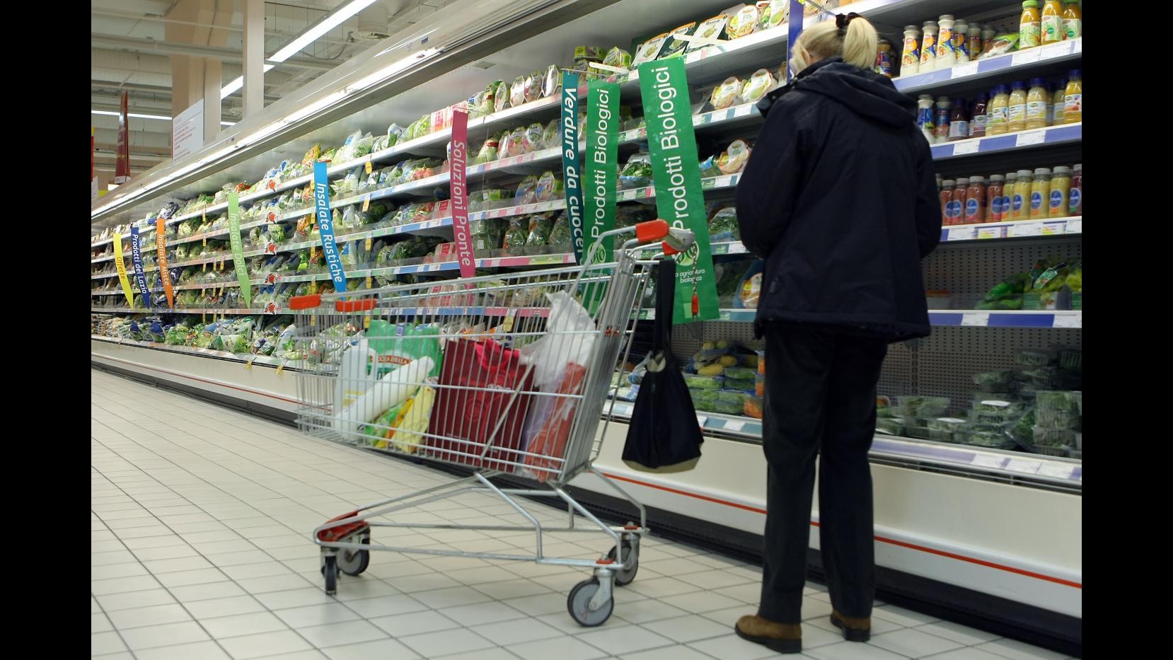 Inflazione, Istat: A ottobre lieve ripresa prezzi, +0,1% su anno
