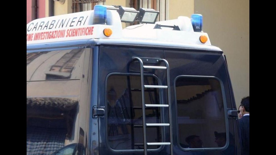 Crotone, ruba 23 pecore, 1 montone e vasca frigo: arrestato muratore