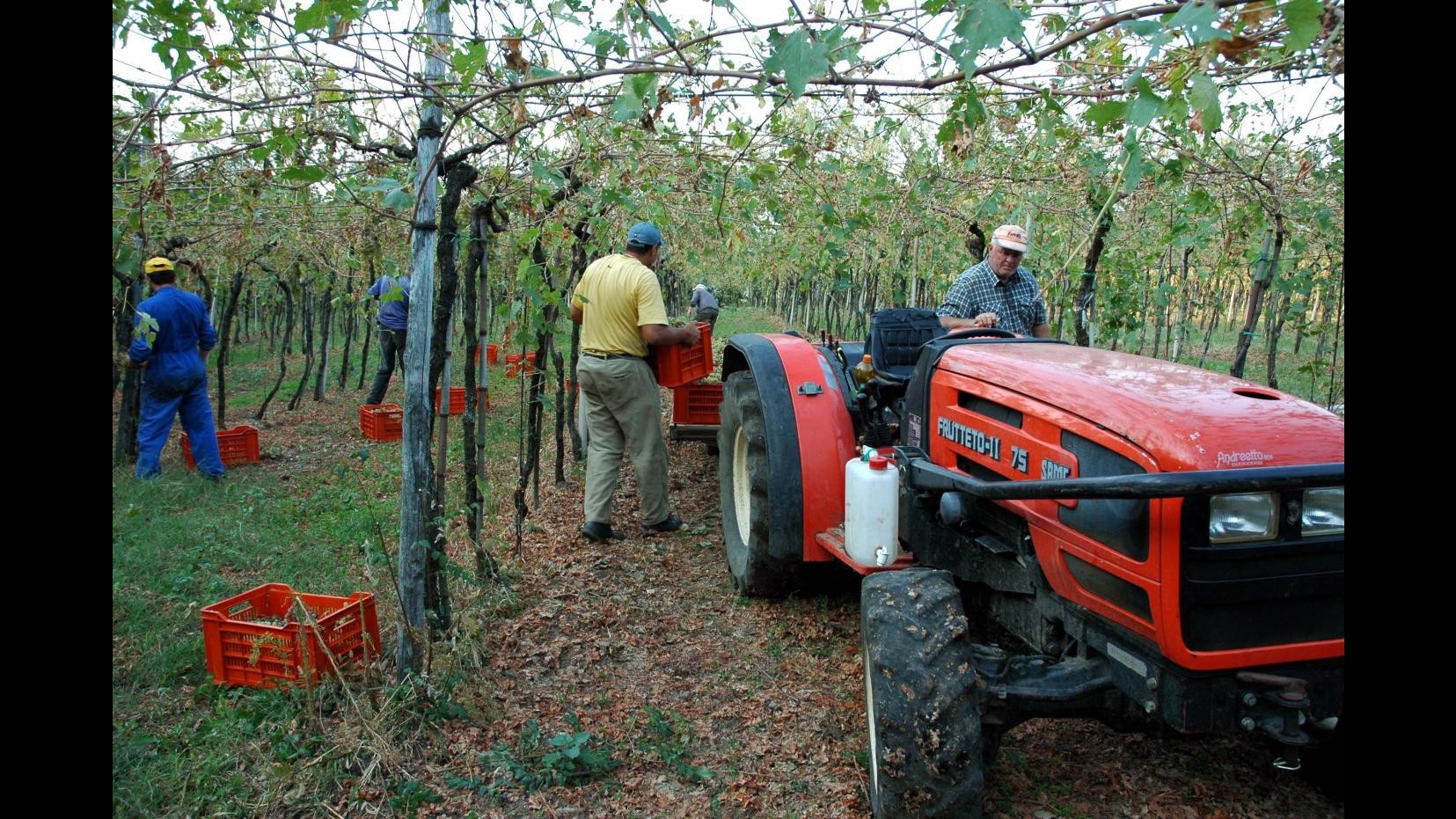 Coldiretti: Record storico spumante italiano all’estero +24%