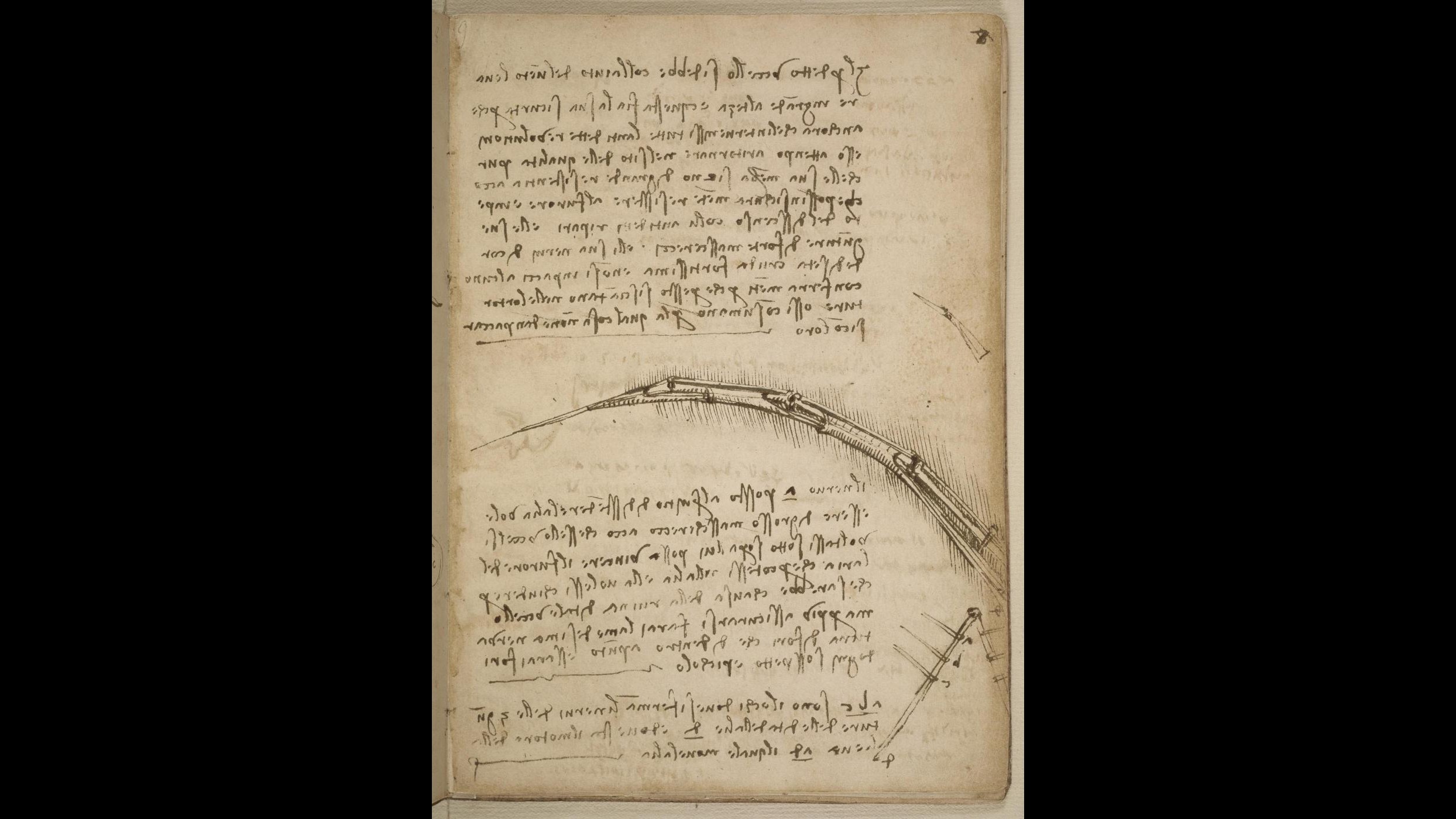 Torino, mostra ‘Leonardo e i tesori del re’ prorogata al 25 gennaio