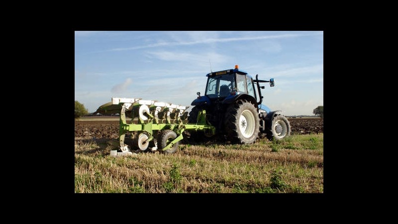Campania, Foglia (Ncd): Favorire nascita di giovani imprese agricole