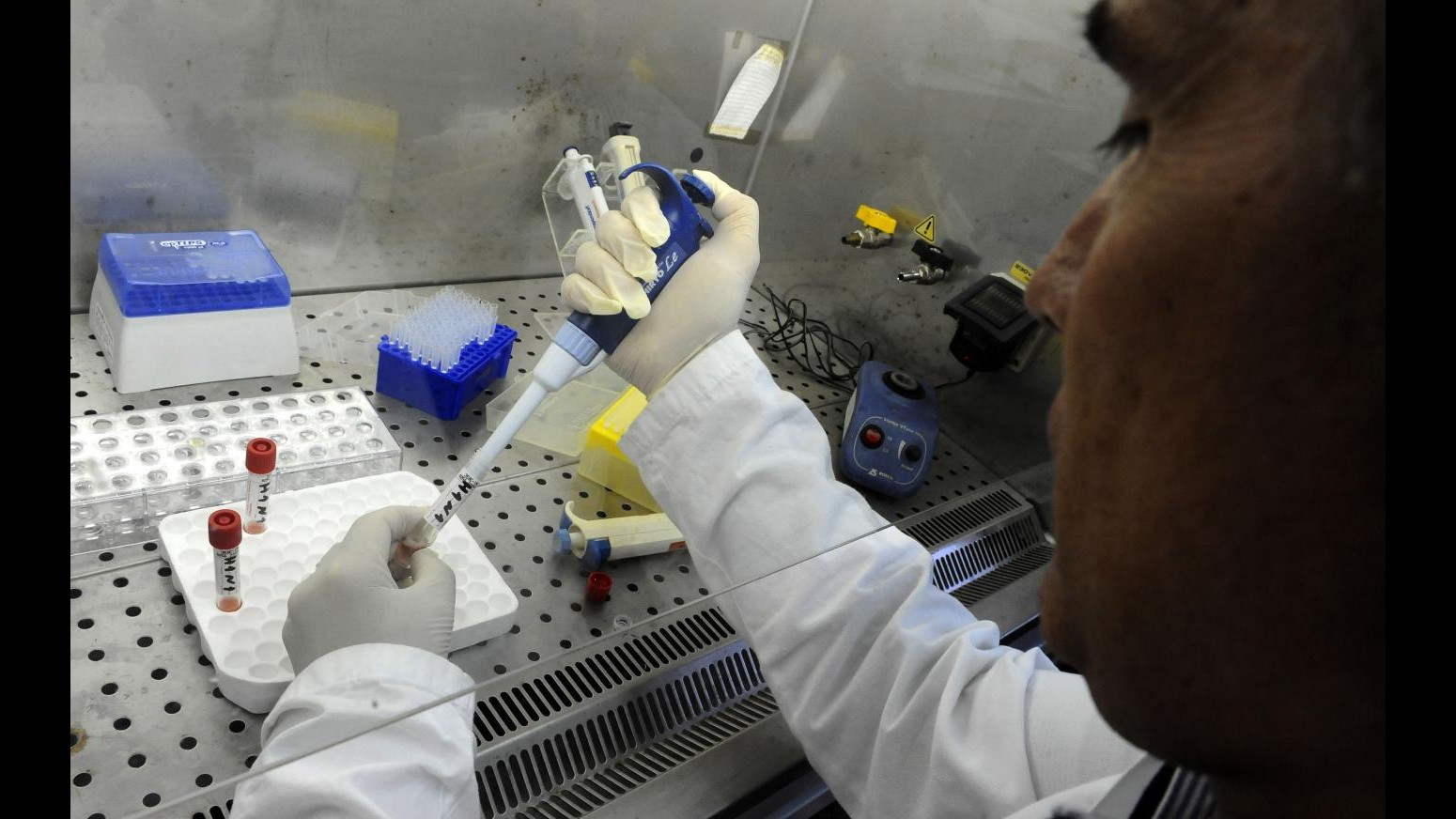 Istat: Nel 2012 spesa per ricerca e sviluppo a 20,5 miliardi