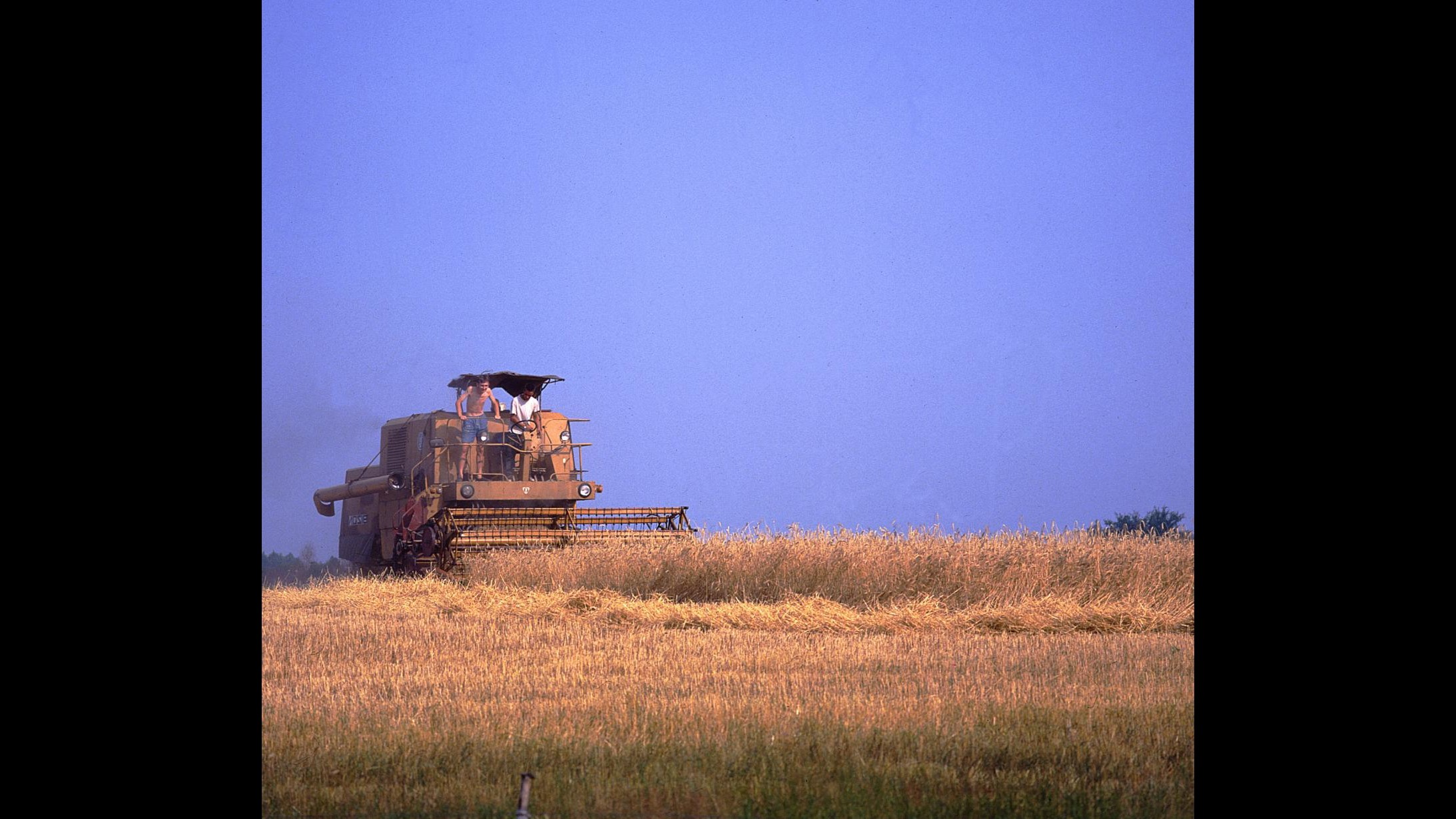 Torino, cinque mln da Ue per oltre 150 aziende agricole piemontesi
