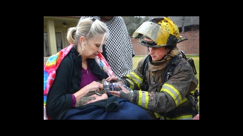 Usa, incendio a Fort Worth: gatto salvato con maschera a ossigeno