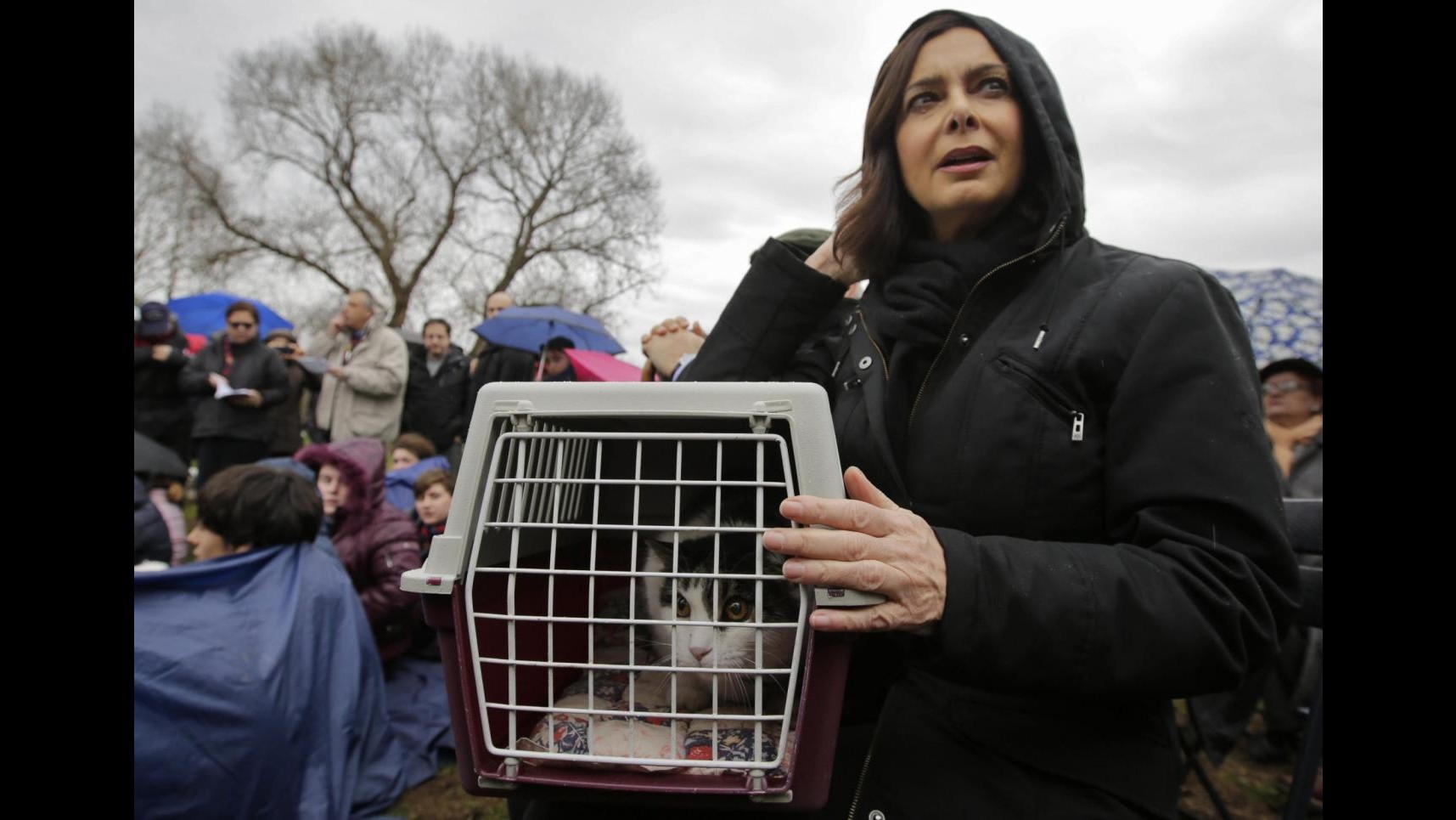 Boldrini porta il suo gatto alla festa degli animali alla Caffarella