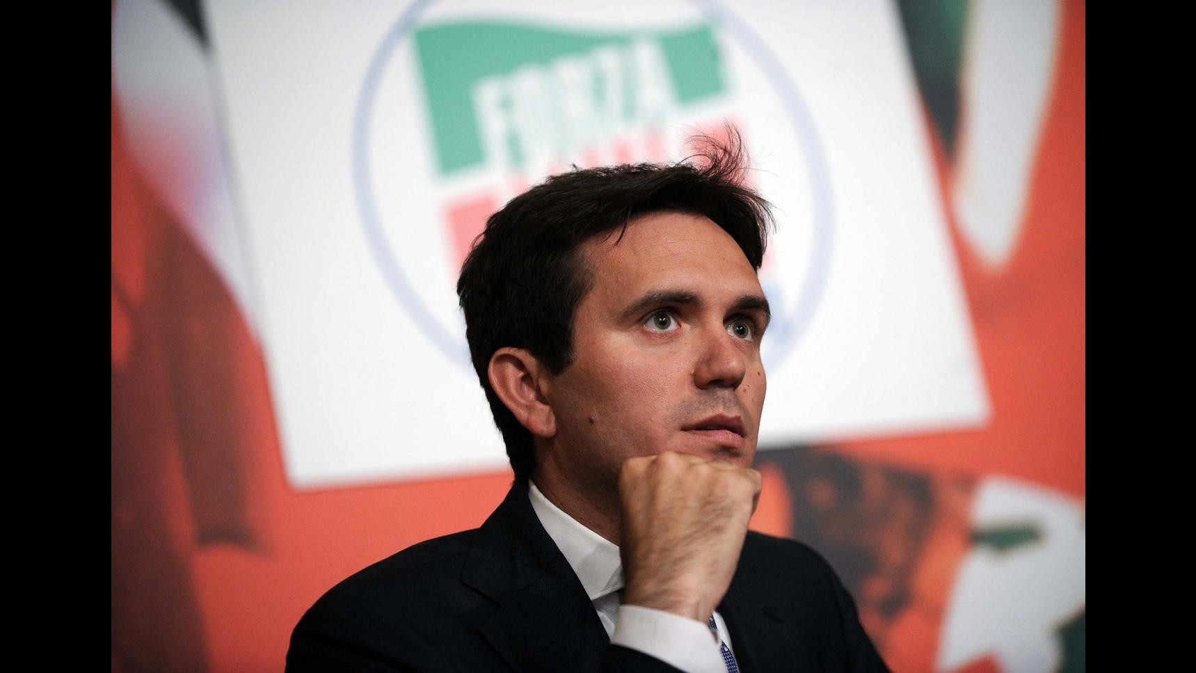 Quirinale, Cattaneo (Fi): No a uomo di sinistra, presidente è di tutti