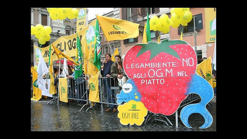 Ue, Parlamento approva norma su libera scelta Stati su ogm