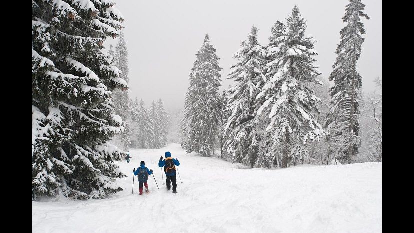 Coldiretti: Febbraio nevoso salva turismo e campagne