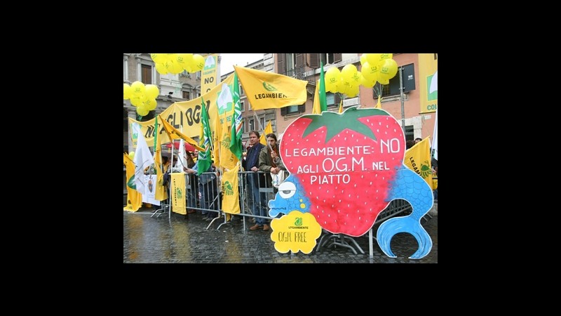 Ogm, Mipaaf: Confermato divieto di coltivazione mais Mon810