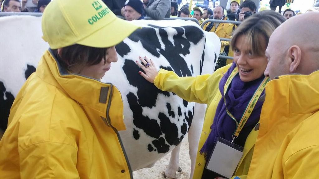 Agricoltura, Poletti, Galletti e Lorenzin mungono una mucca in piazza