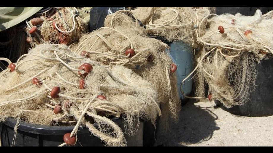 Costa d’Avorio, Fao: Nuovo modo di essiccare pesce aumenta qualità cibo