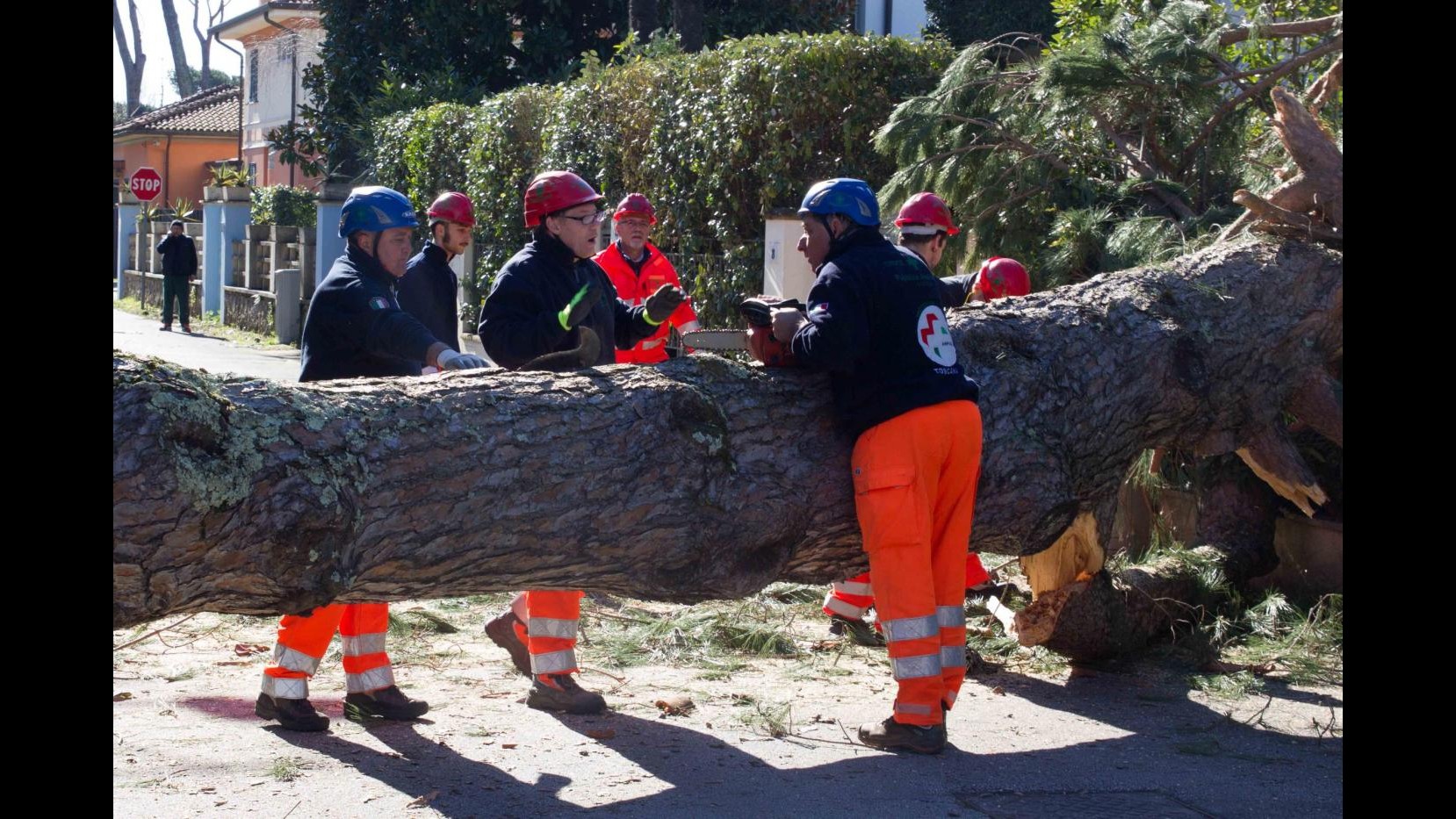 Maltempo, nelle Oasi Wwf si contano i danni: disagi in Abruzzo, Marche e Campania