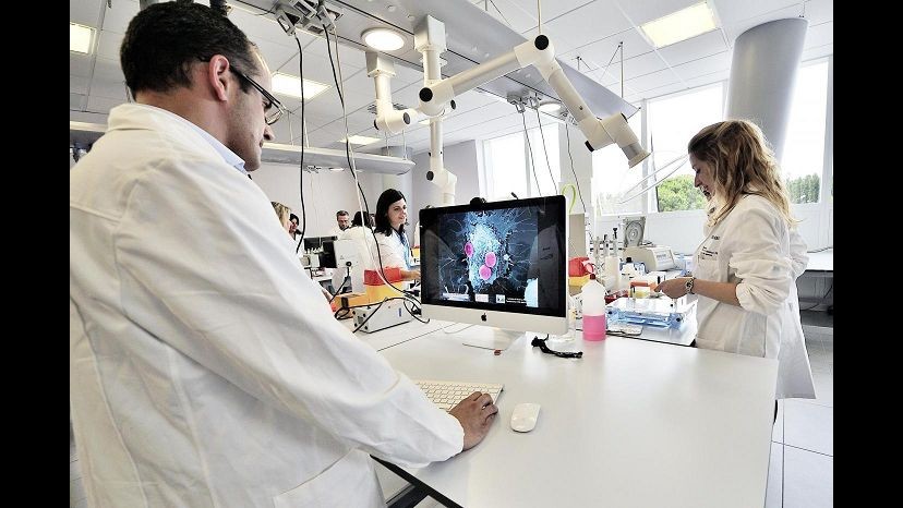 Observa: Per italiani cause crisi ricerca pochi fondi statali e fuga cervelli