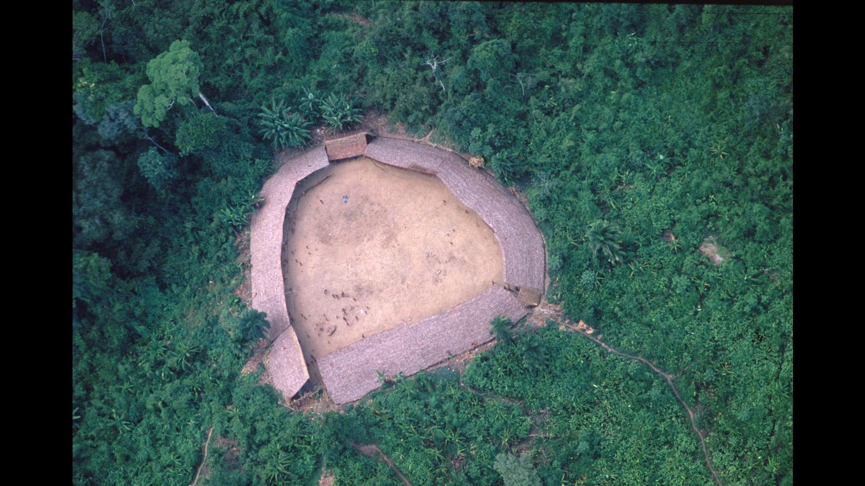 Studio: Ue 1° importatore beni da zone deforestate illegalmente