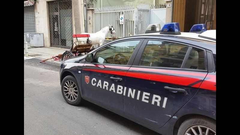 Palermo, cavallo imbizzarrito sfugge al fantino e investe ciclista