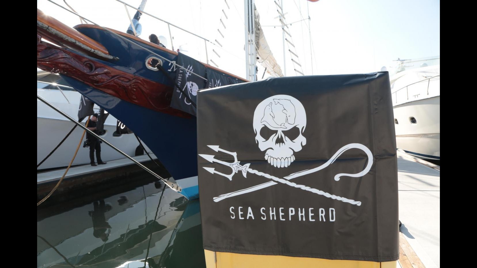 Sea Shepard: A picco nave bracconiera, affondata dal capitano