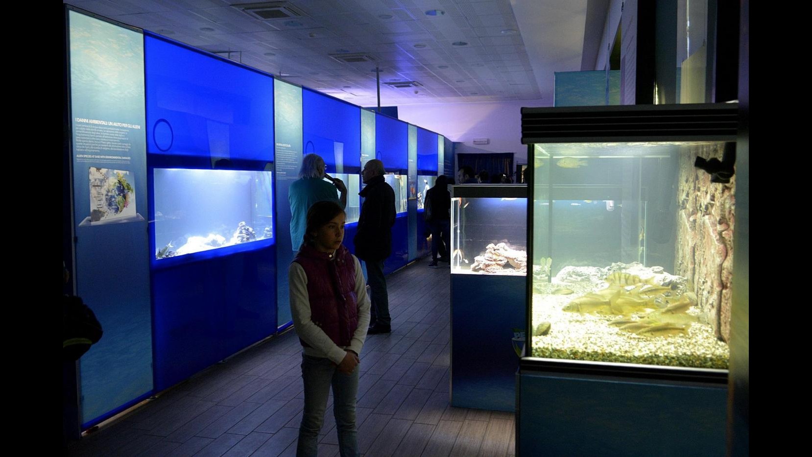 Roma, Pasquetta record al Bioparco: 12mila visitatori