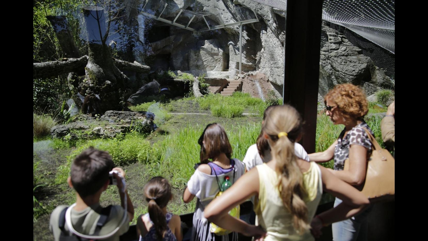A Ferragosto cocomerata per gli animali del Bioparco di Roma