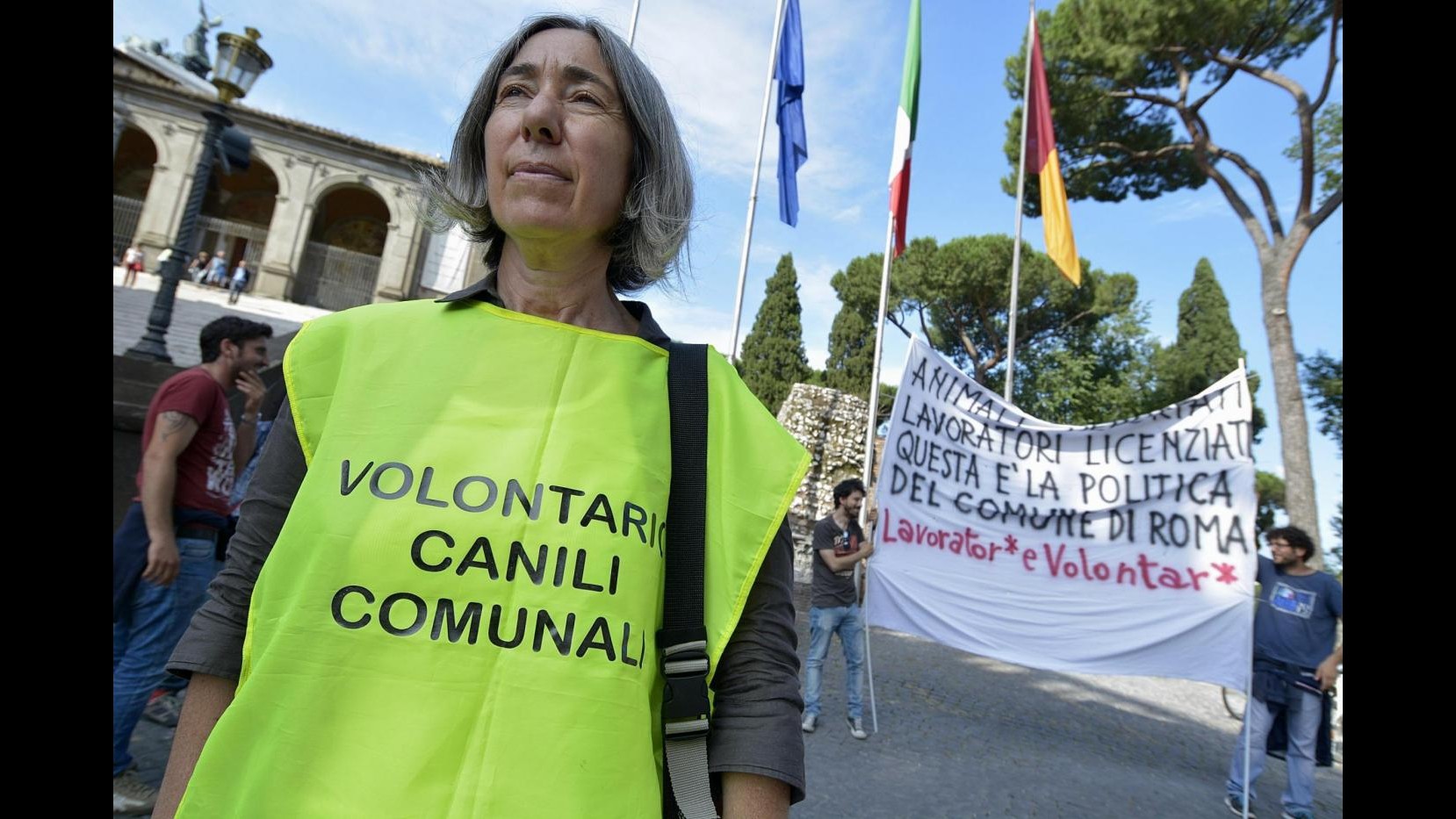 Roma, per i canili ogni mese il Campidoglio spende 357mila euro