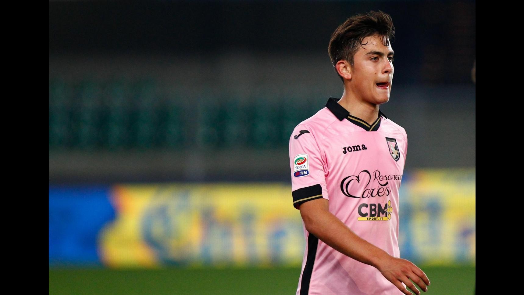 Zamparini: Iachini alla Samp? Mi offenderei a morte. Dybala? Andrà via di sicuro