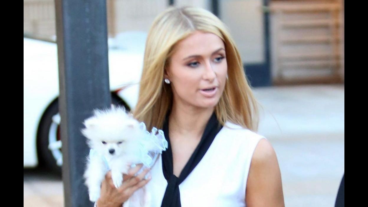 Paris Hilton piange il suo chihuahua Thinkerbell: Ho il cuore a pezzi