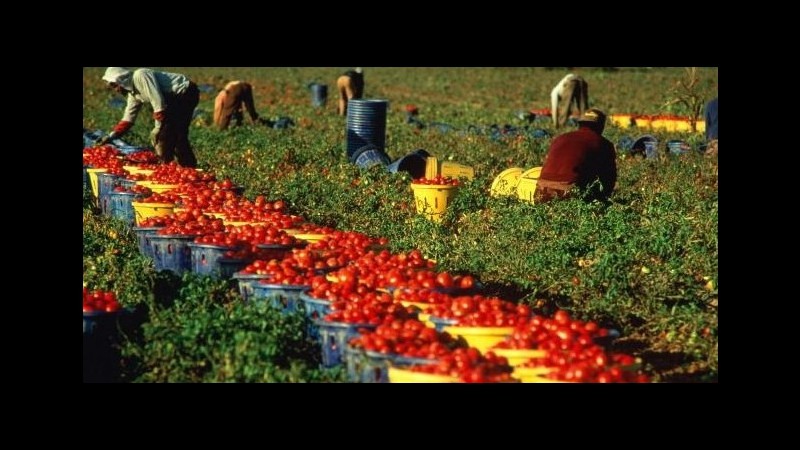 Trapani, contrasto al caporalato: aziende multate per 46.505 euro