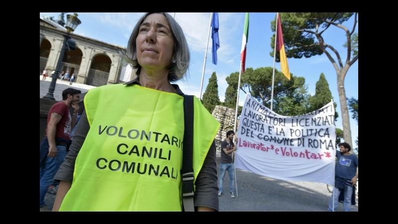 Affari da cani: il  Campidoglio cede a sindacati