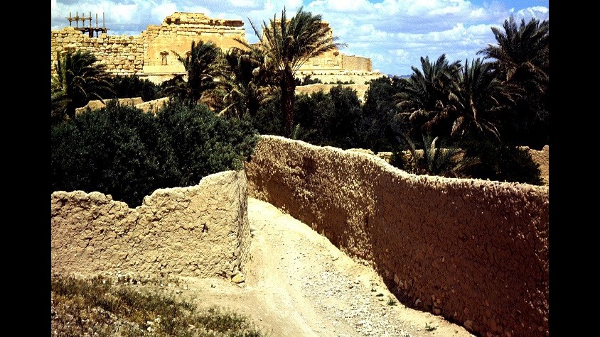 Isis, 23 civili uccisi a Palmira: sito Unesco siriano a rischio