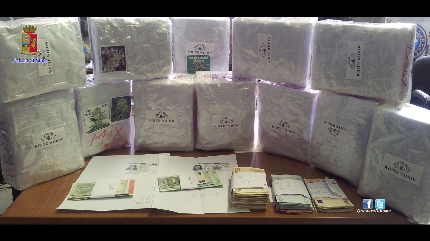 Roma, sequestrati 7 chili di cannabis white widow: 4 arresti