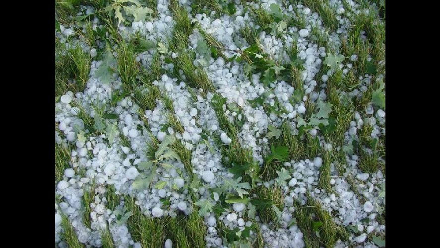 Maltempo, Coldiretti: Allarme grandine sulla vendemmia