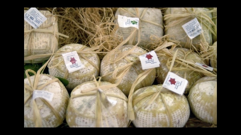 Slow Food, il meglio del Piemonte a Cheese 2015