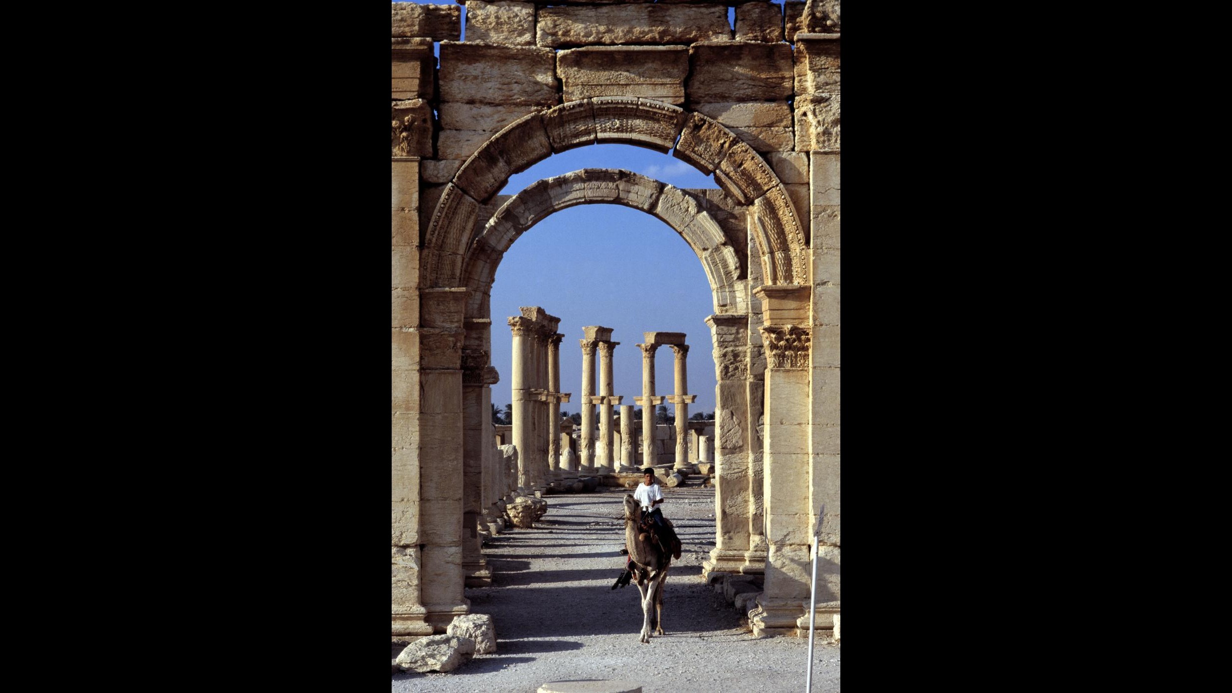 Isis ha issato bandiera sopra cittadella di Palmira