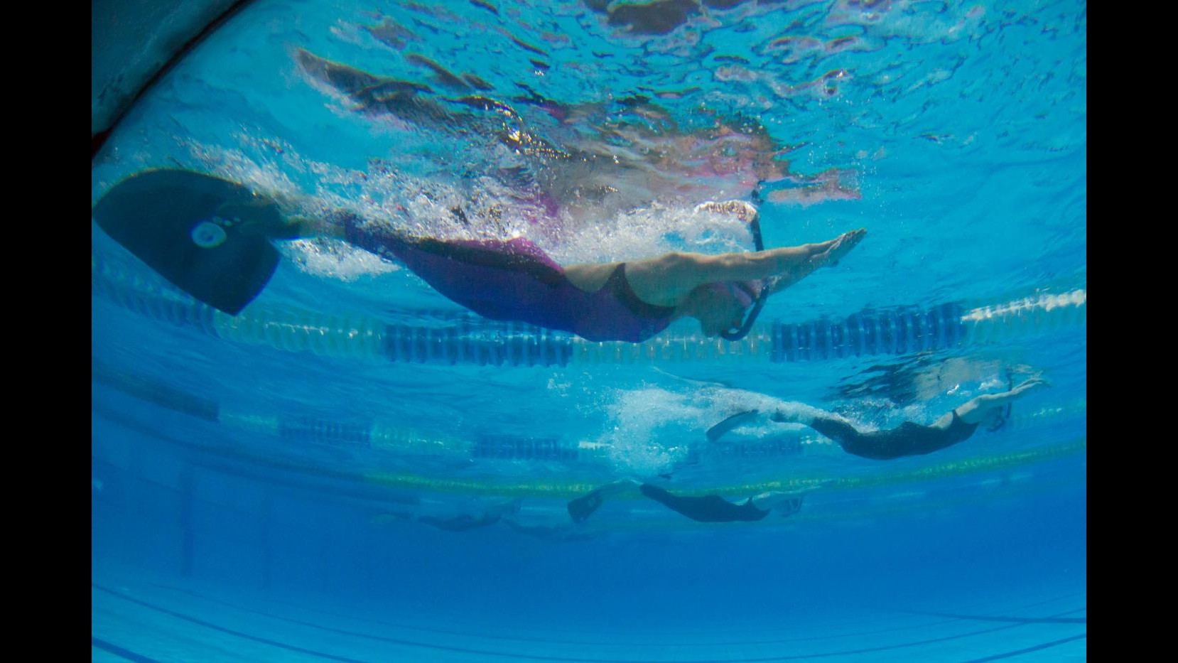 Nuoto,si alza sipario su Swimming Cup 2015: gare a Milano e a Torino