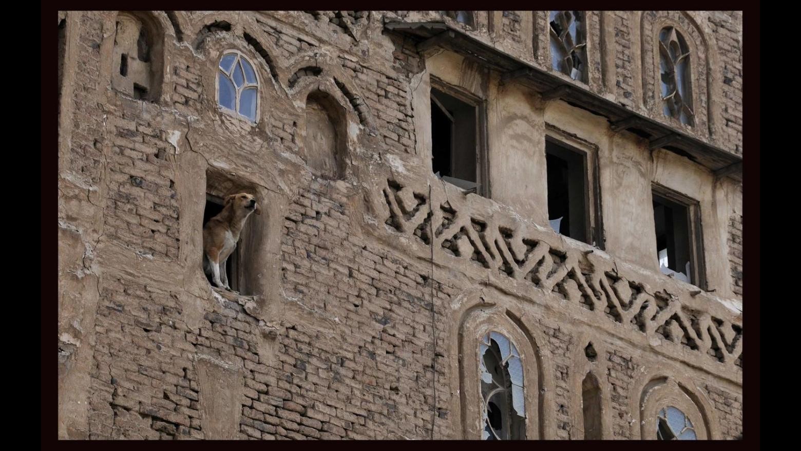 Yemen, raid della coalizione sulla città di Sanaa, patrimonio Unesco
