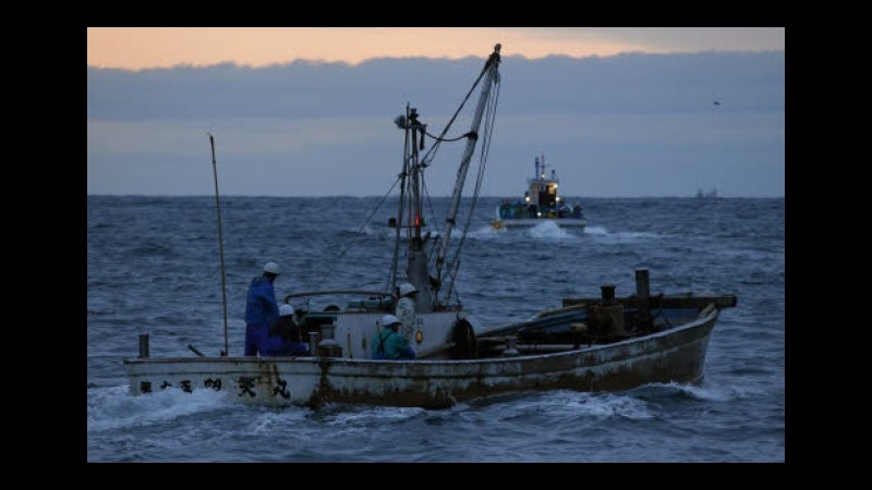Lavoro, siglato l’accordo sulla cassa in deroga per il settore pesca