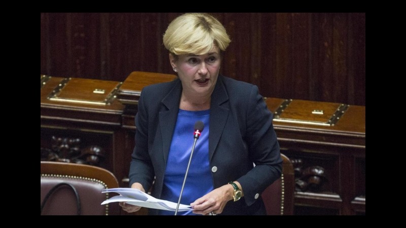 Energia, Guidi: Raggiunti gli obiettivi 2020 sulle fonti rinnovabili