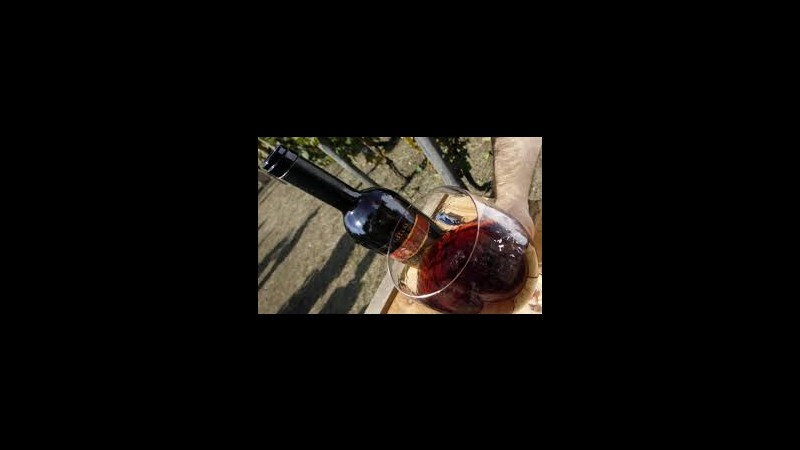 Bologna, frode in settore vinicolo: sequestro beni per oltre 30 milioni