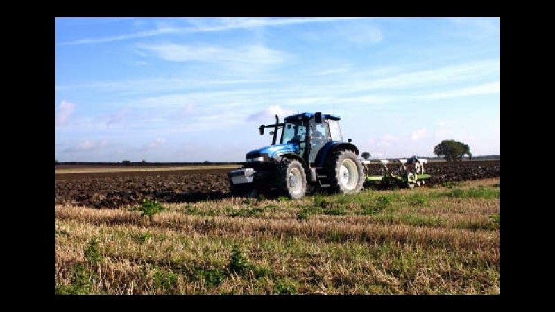 Agricoltura, Ismea: Clima sta influenzando i raccolti di grano duro