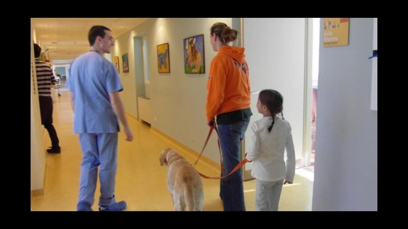 Salute, al Fatebenefratelli i bimbi potranno stare con i loro cuccioli