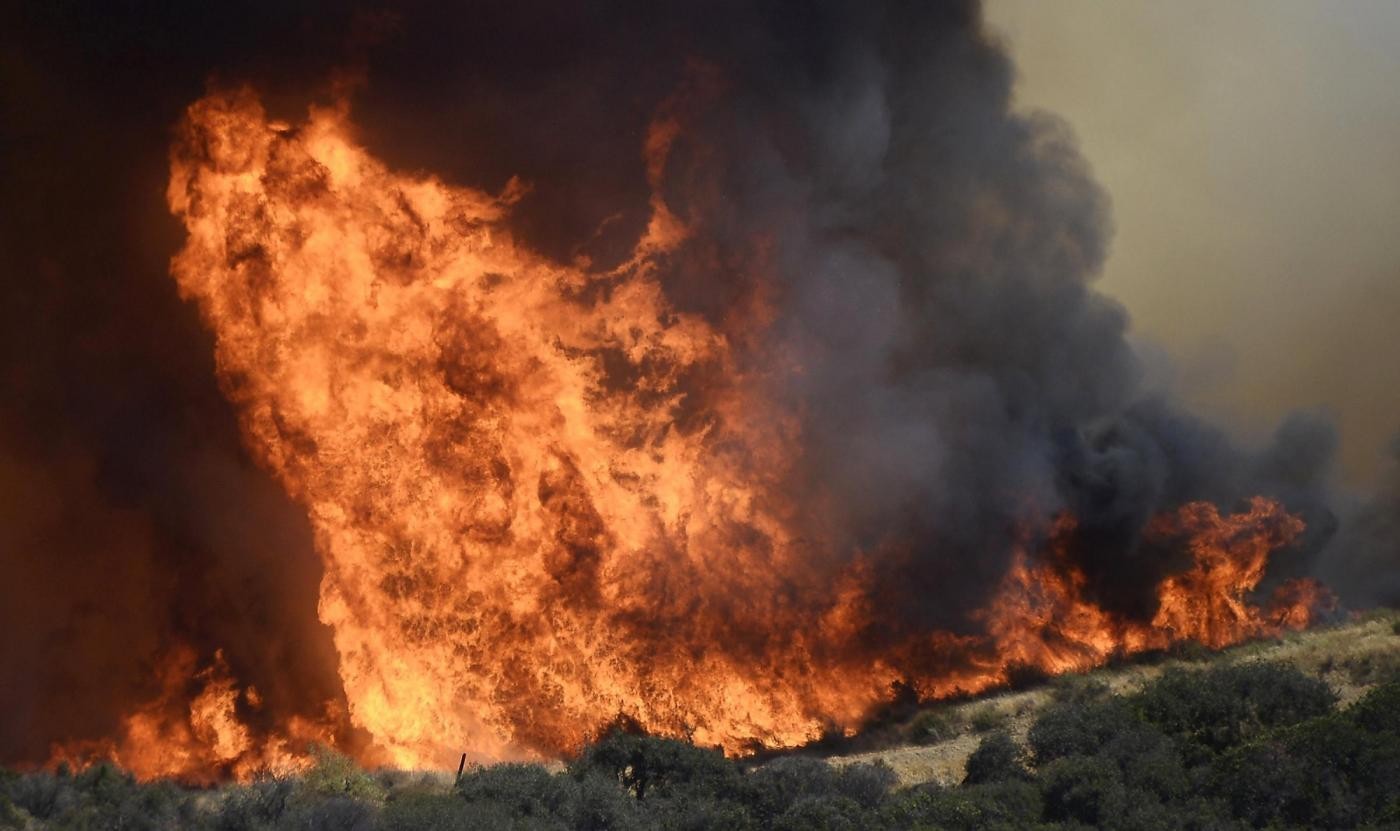 Coldiretti, ecco il decalogo salvaboschi contro gli incendi