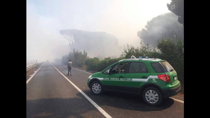Roma, incendio Fiumicino, forestale: Nessuno dei nostri è coivolto