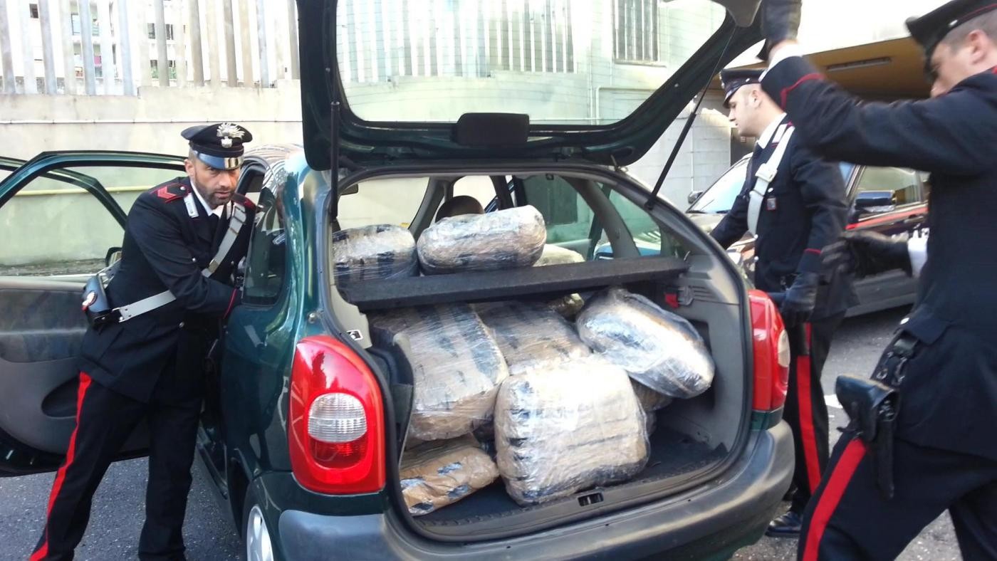 Verona, nascondeva in casa armi e 15 kg di marijuana: arrestato