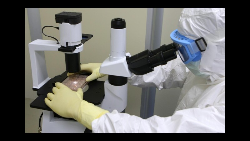 Lotta all’Aids, trattamento riduce la trasmissione del virus Hiv fino al 93%