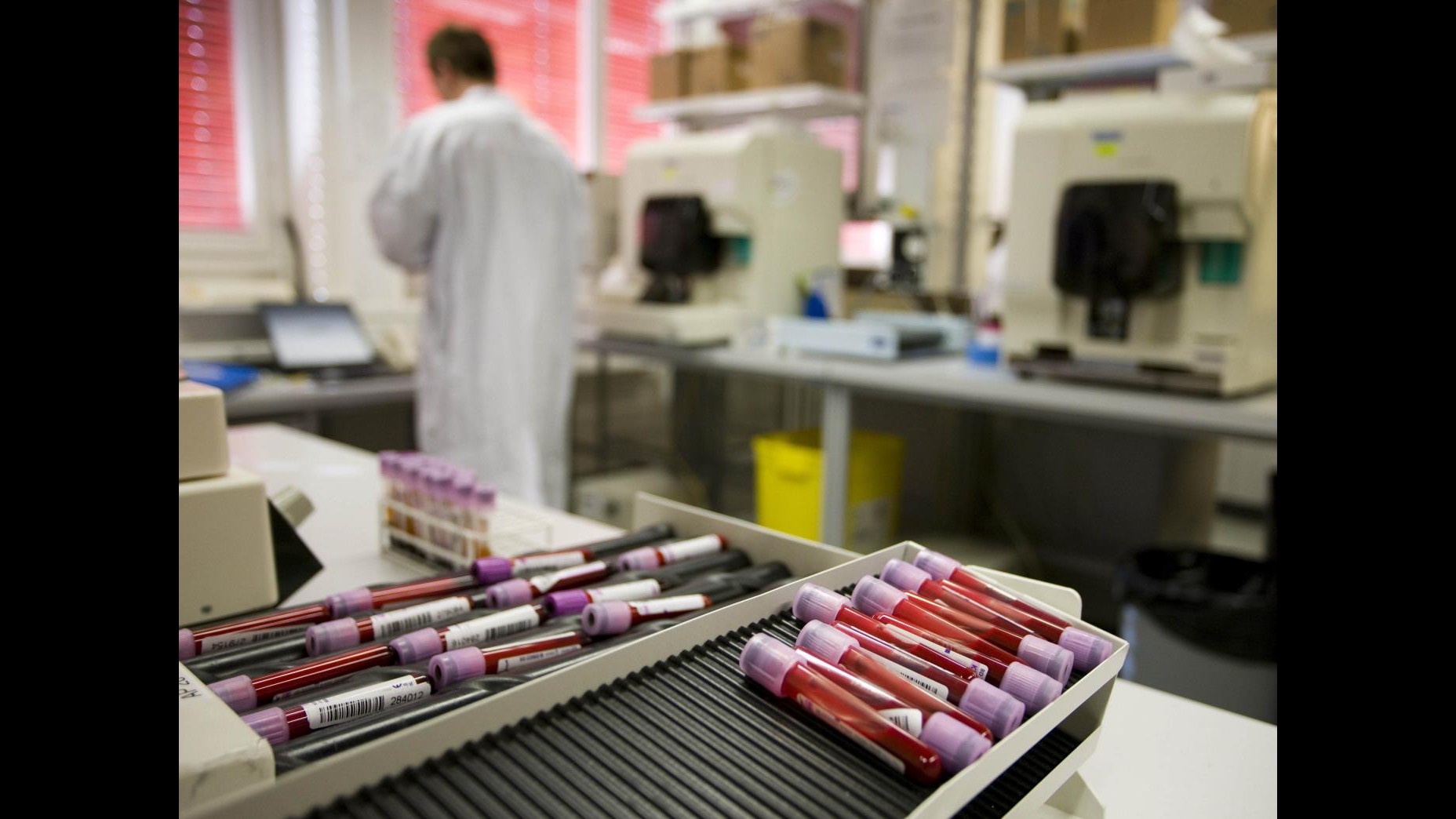 Doping, Iaaf vota sospensione provvisoria Russia