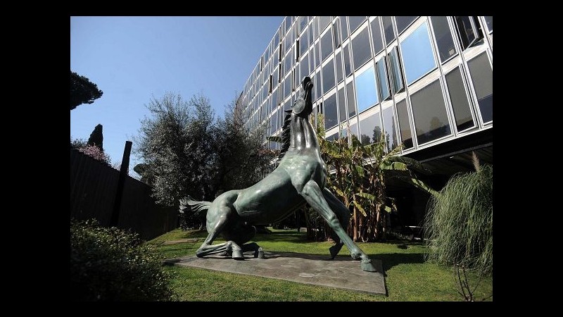 Rai e Telethon insieme nella lotta contro malattie genetiche rare