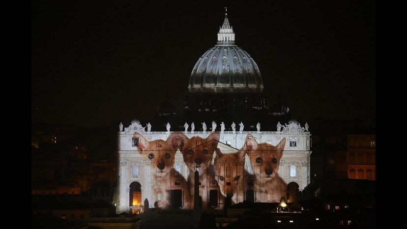 Giubileo, su San Pietro lo spettacolo Fiat Lux per l’ambiente