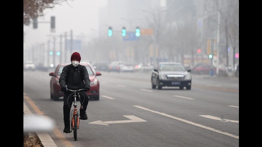 Smog, Codacons: Targhe alterne a Roma inutili senza controlli
