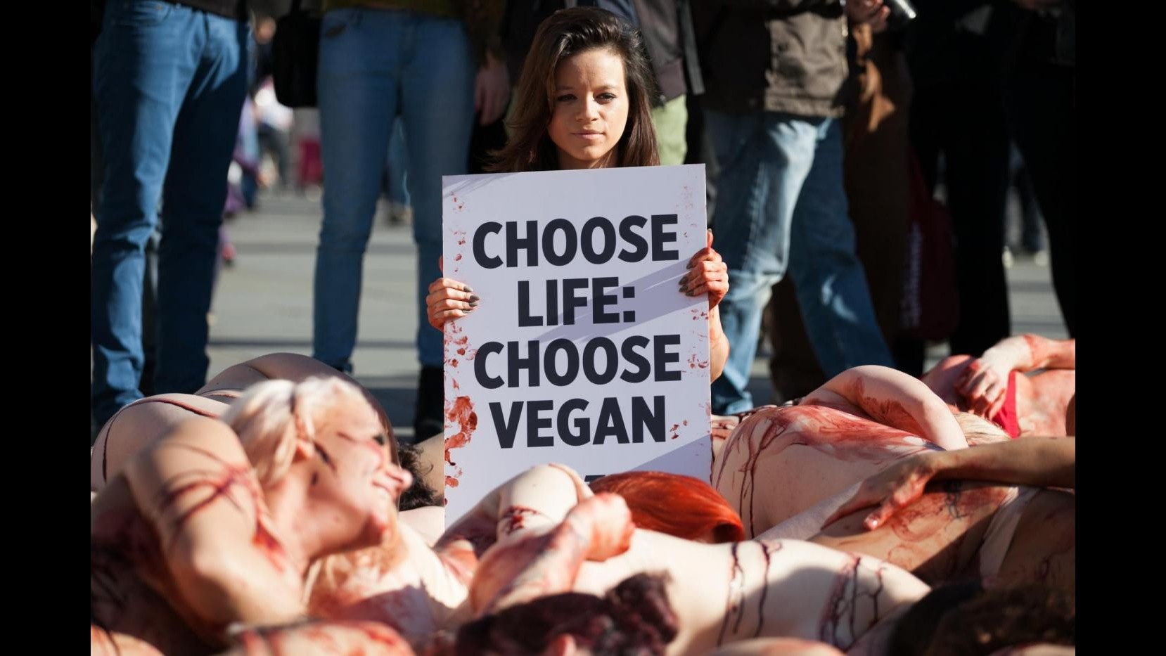 Natale, dalla Lav il menù vegano per difendere l’ambiente