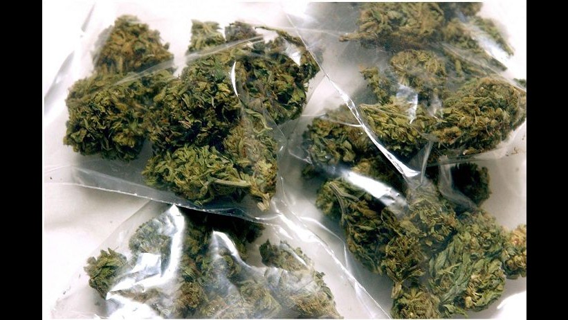 Arezzo, marijuana nel camion: arrestato autotrasportatore 62enne