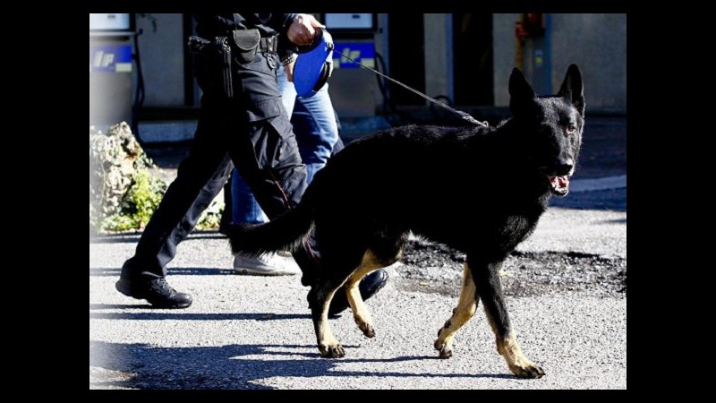Imperia, usano su cani da caccia radiocollari illegali: tre denunciati